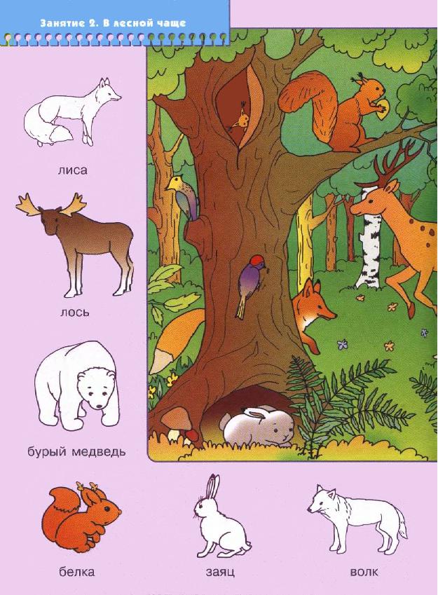 развивающее занятие лес. послушный карандаш задание для детей. деревья и кустарники задания для дошкольников. голоса леса занятие. развивающее занятие лес.