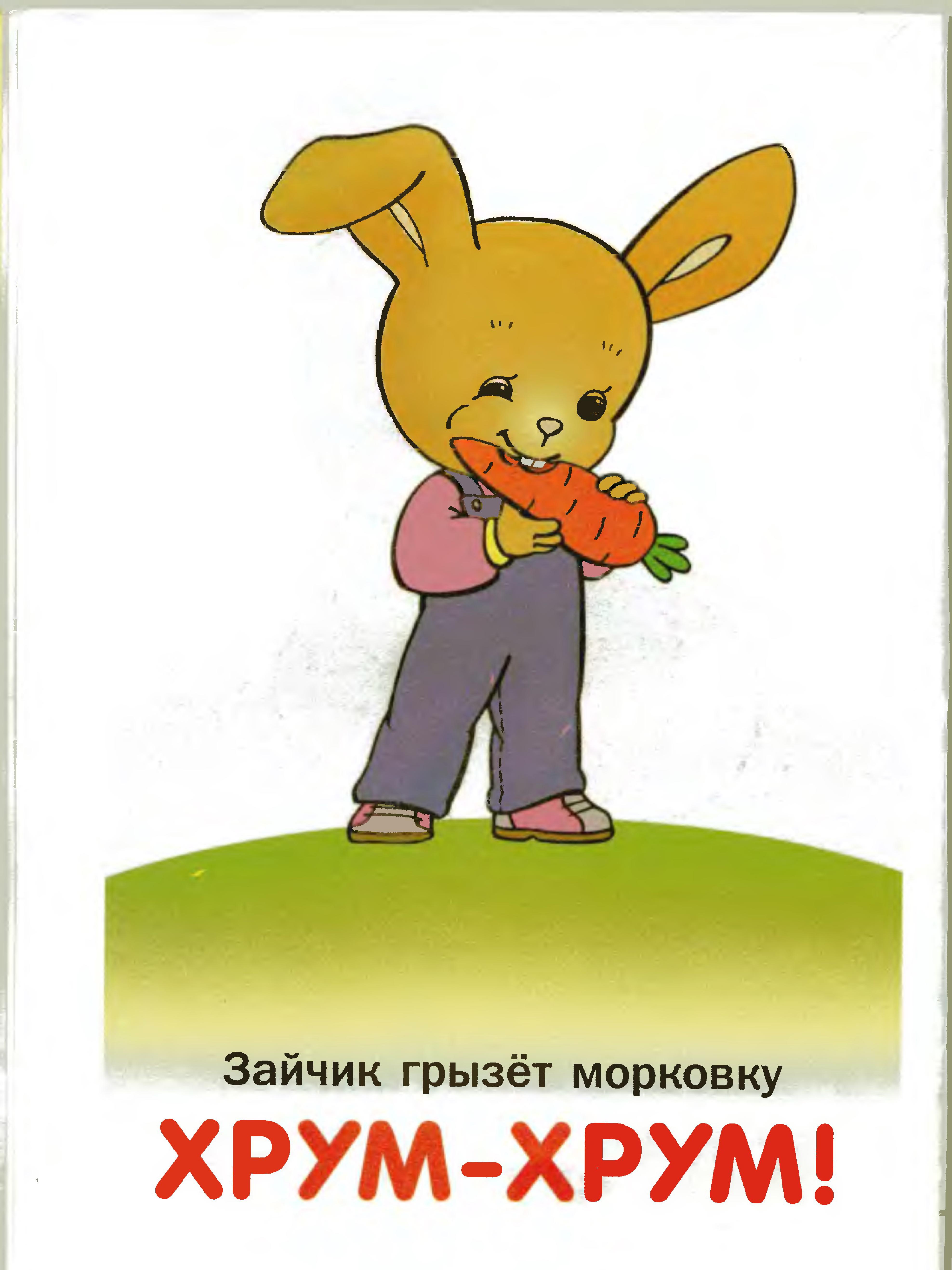 Зайчик грызет морковку