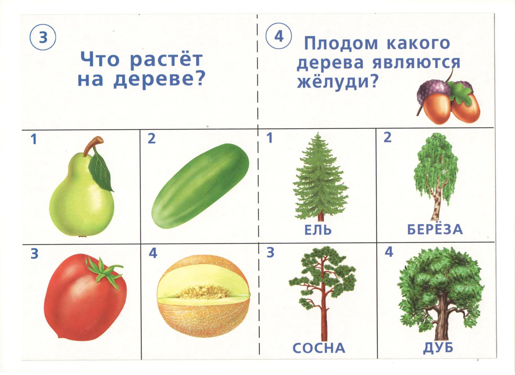 Окружающий мир 1 года. Карточки окружающий мир для дошкольников. Окружающий для дошкольников. Задания для дошкольников по ознакомлению с окружающим миром. Карточки по окружающему миру для дошкольников.