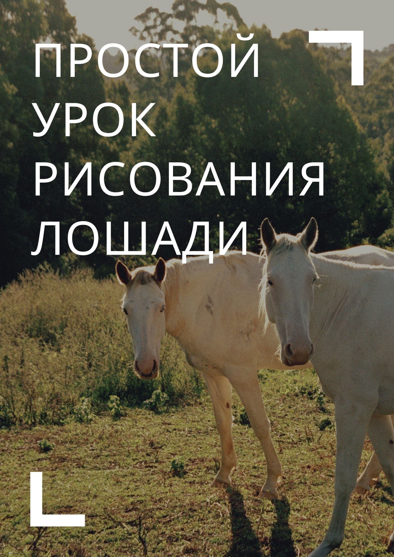 Простой урок рисования лошади