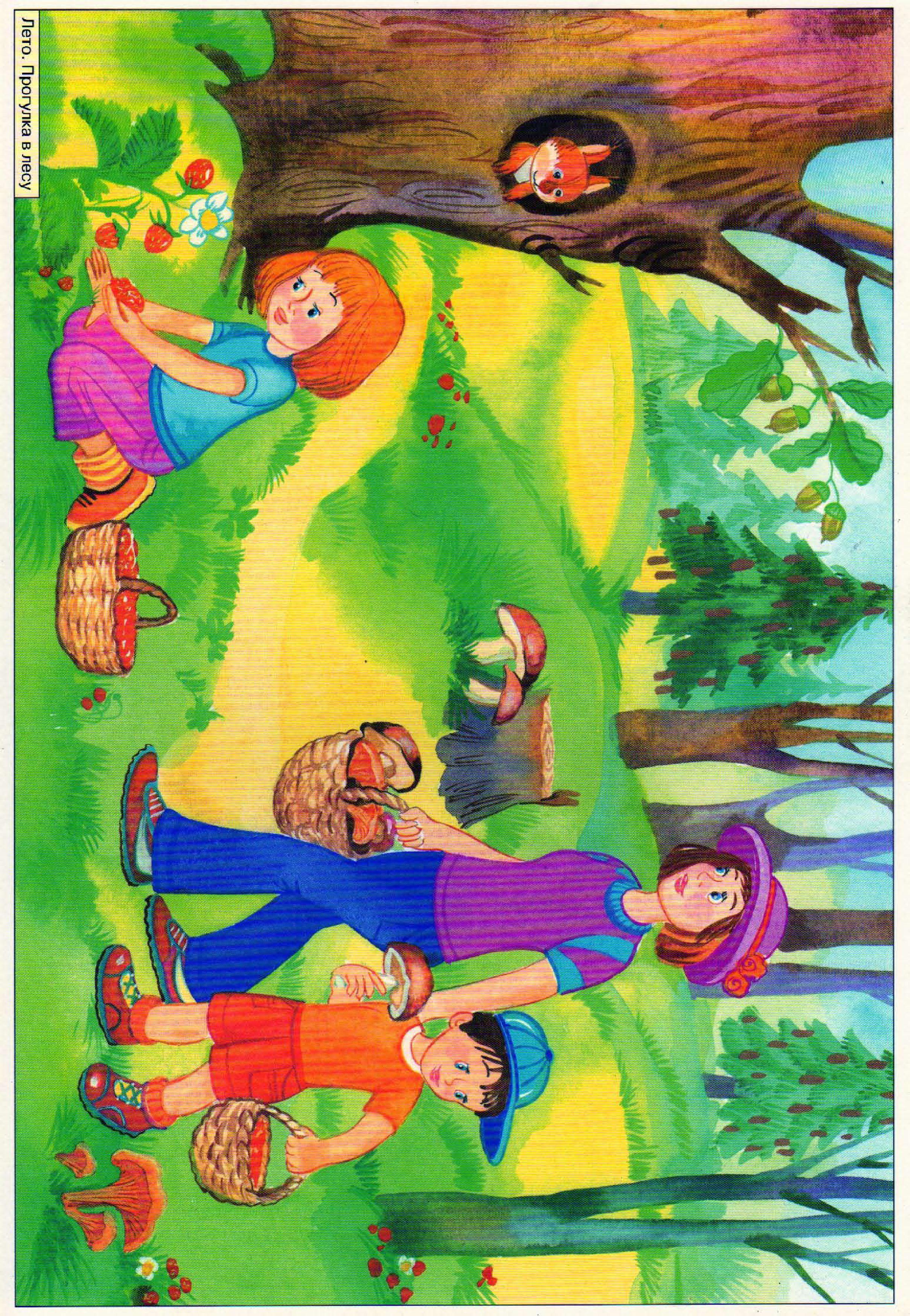Сюжетные и бессюжетные игры. Прогулка в лесу дети лето. Лето рисунок для детей. Лето для детей в детском саду. Сюжетные картины для детей.