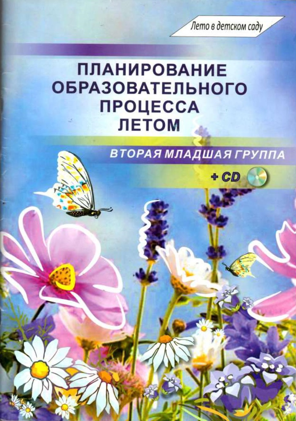 Планирование летом средняя группа. Планирование образовательного процесса летом. Планирование образовательного процесса летом вторая младшая группа. Перспективное планирование в летний оздоровительный период. Планирование книги.