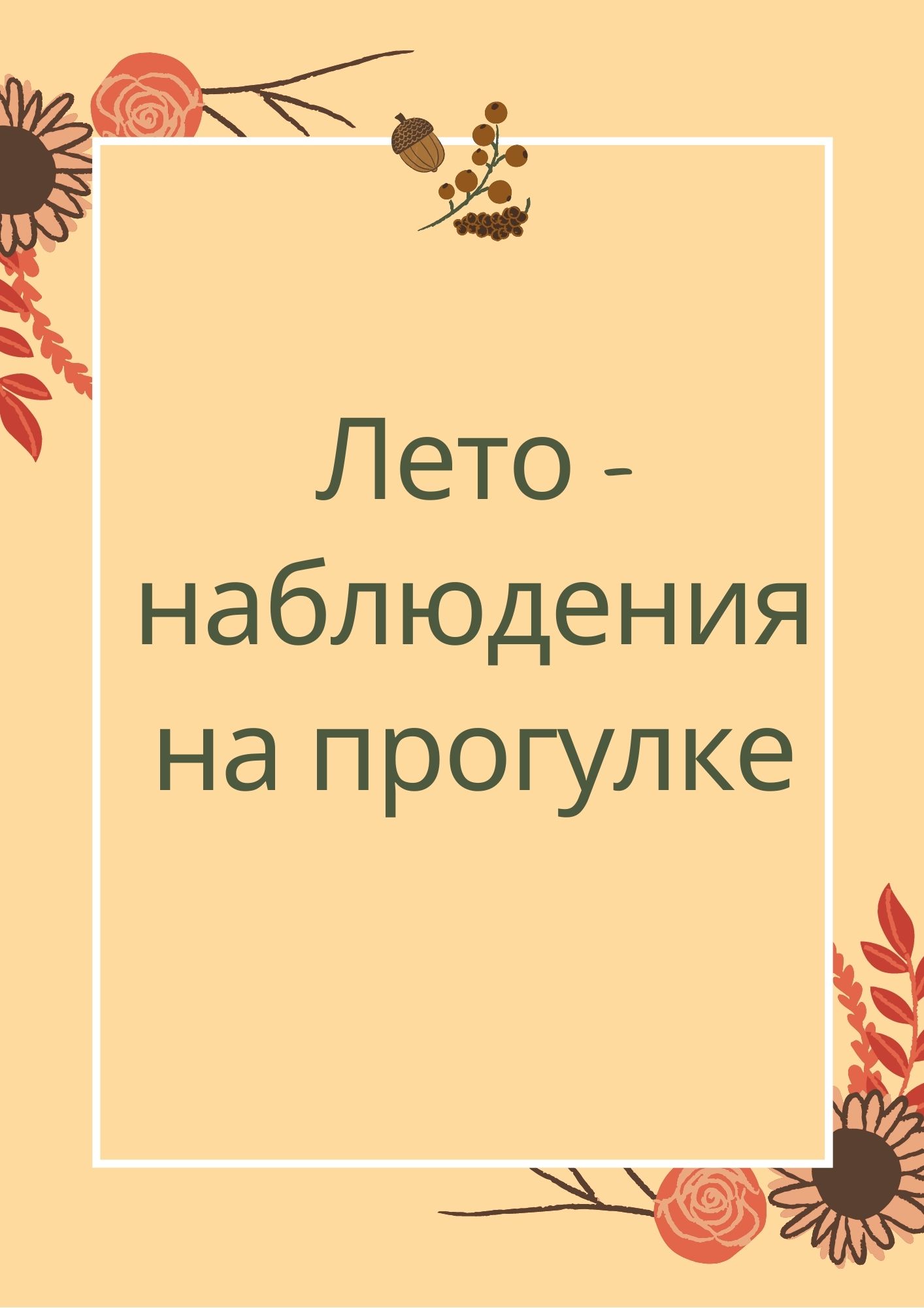 Лето - наблюдения на прогулке