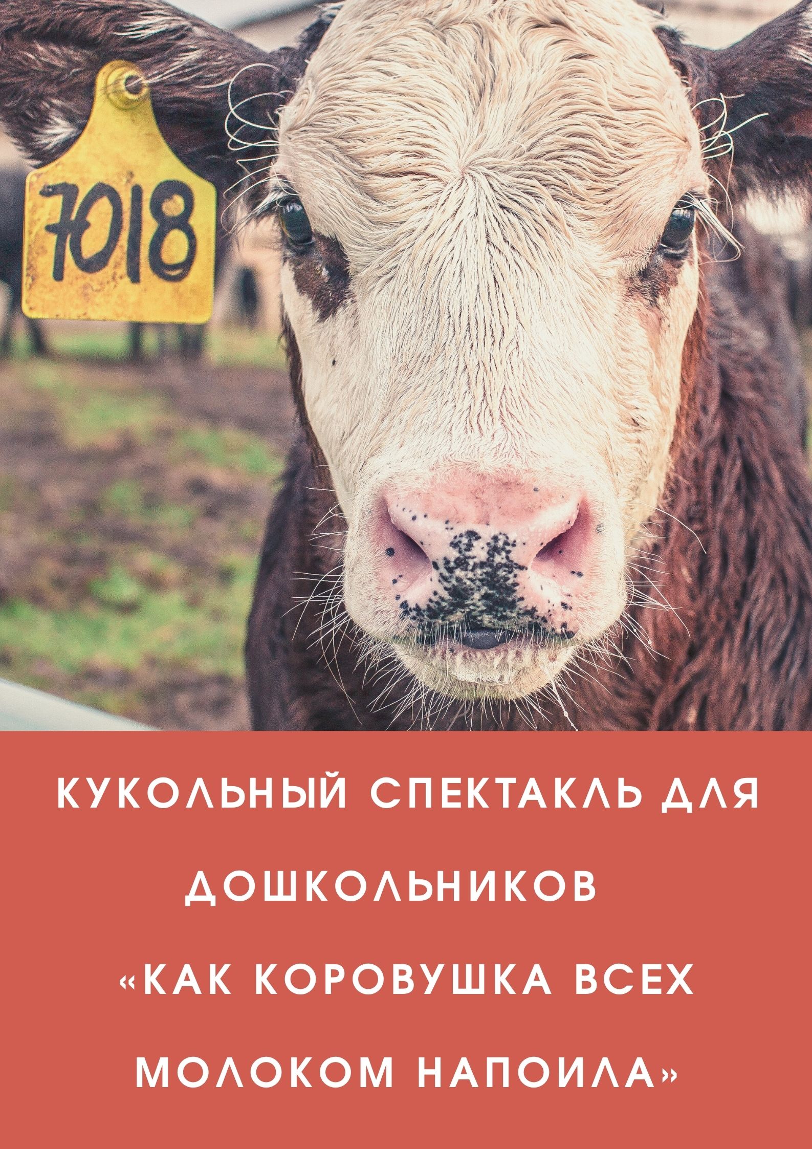 Кукольный спектакль для дошкольников  «Как коровушка всех молоком напоила»