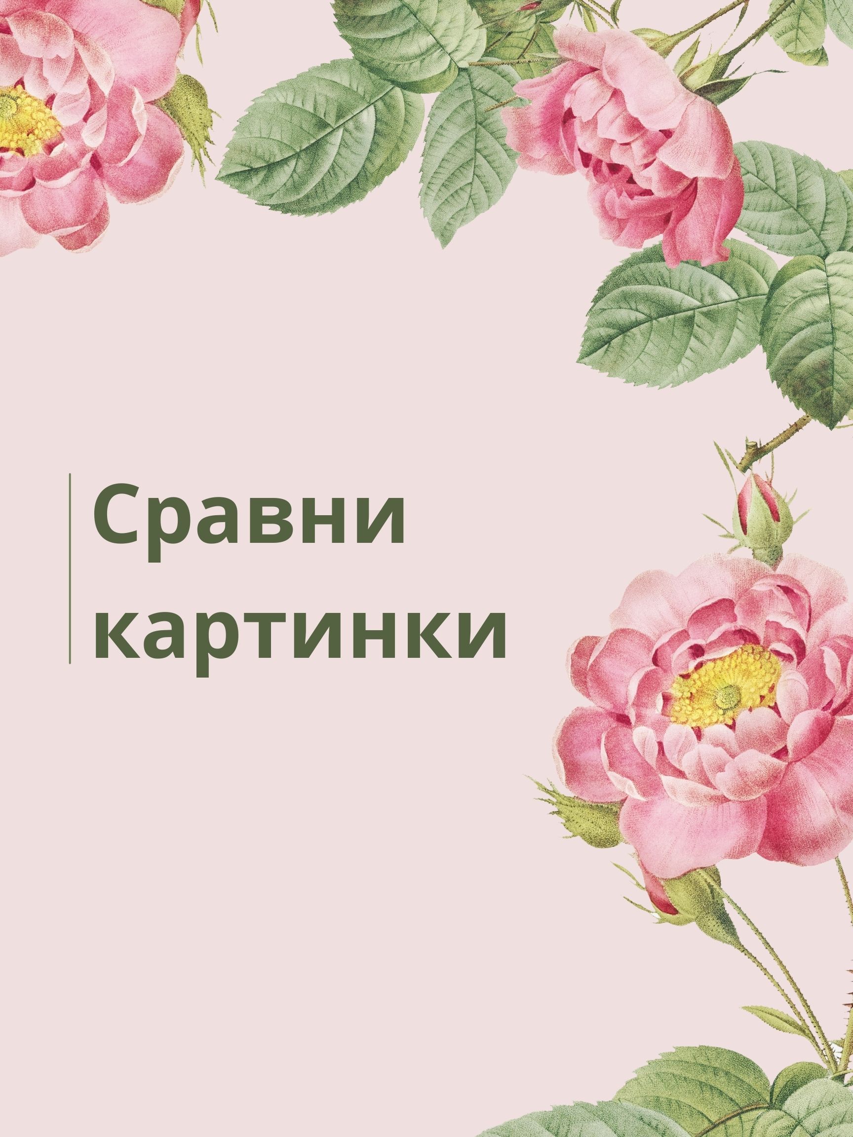 Сравни картинки
