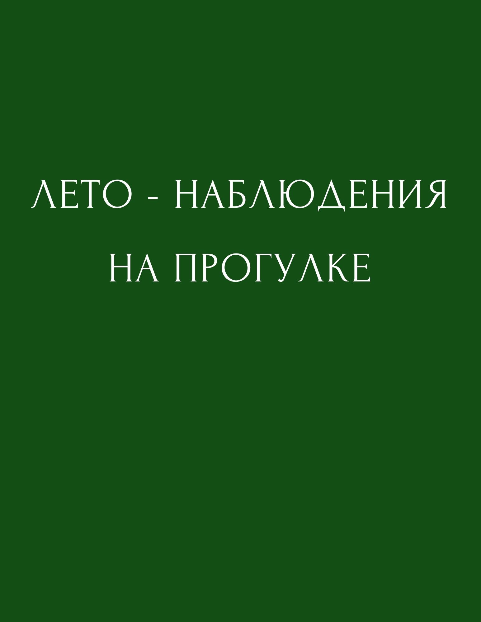 Лето - наблюдения на прогулке