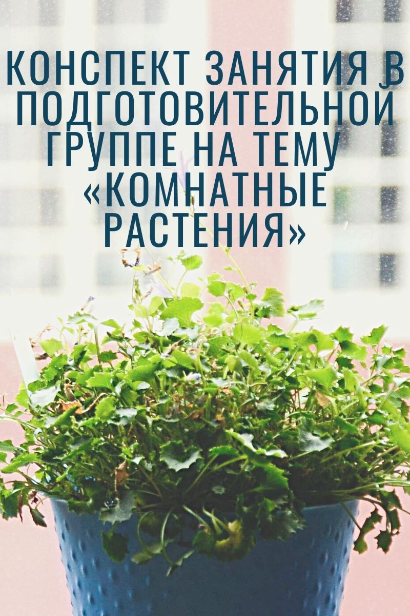 Конспект занятия в подготовительной группе на тему «Комнатные растения» |  Дефектология Проф