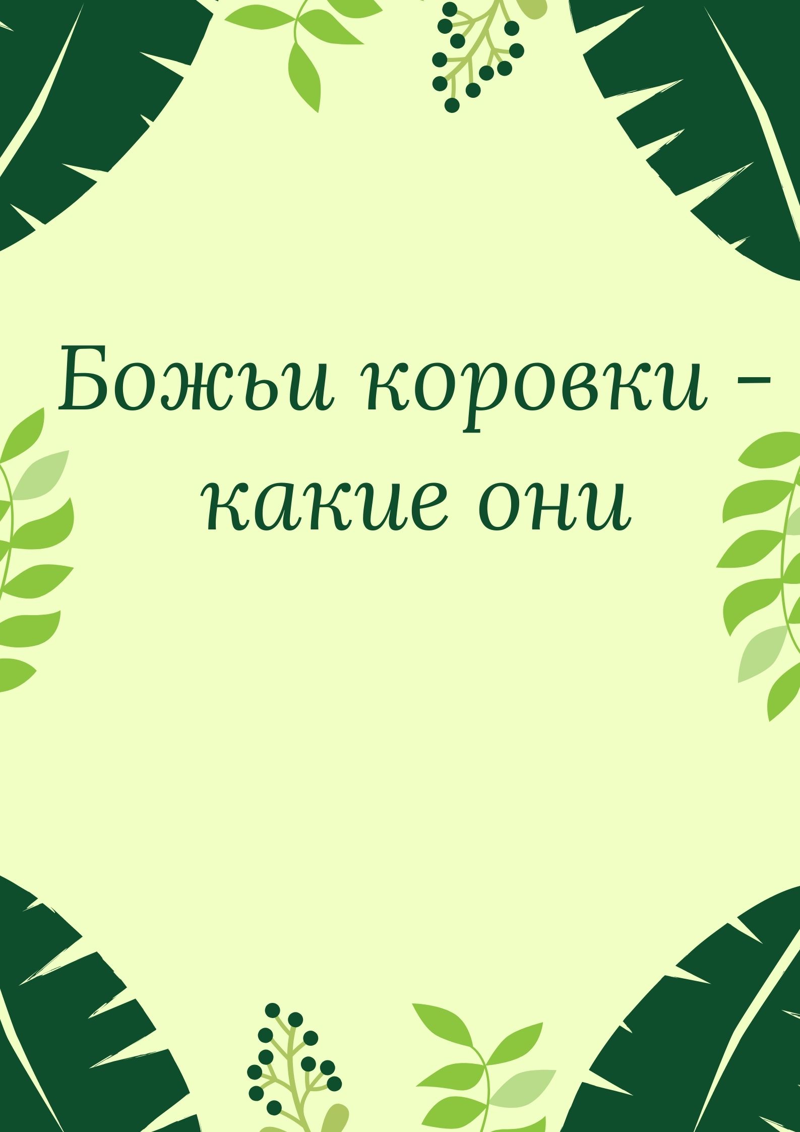 Божьи коровки - какие они