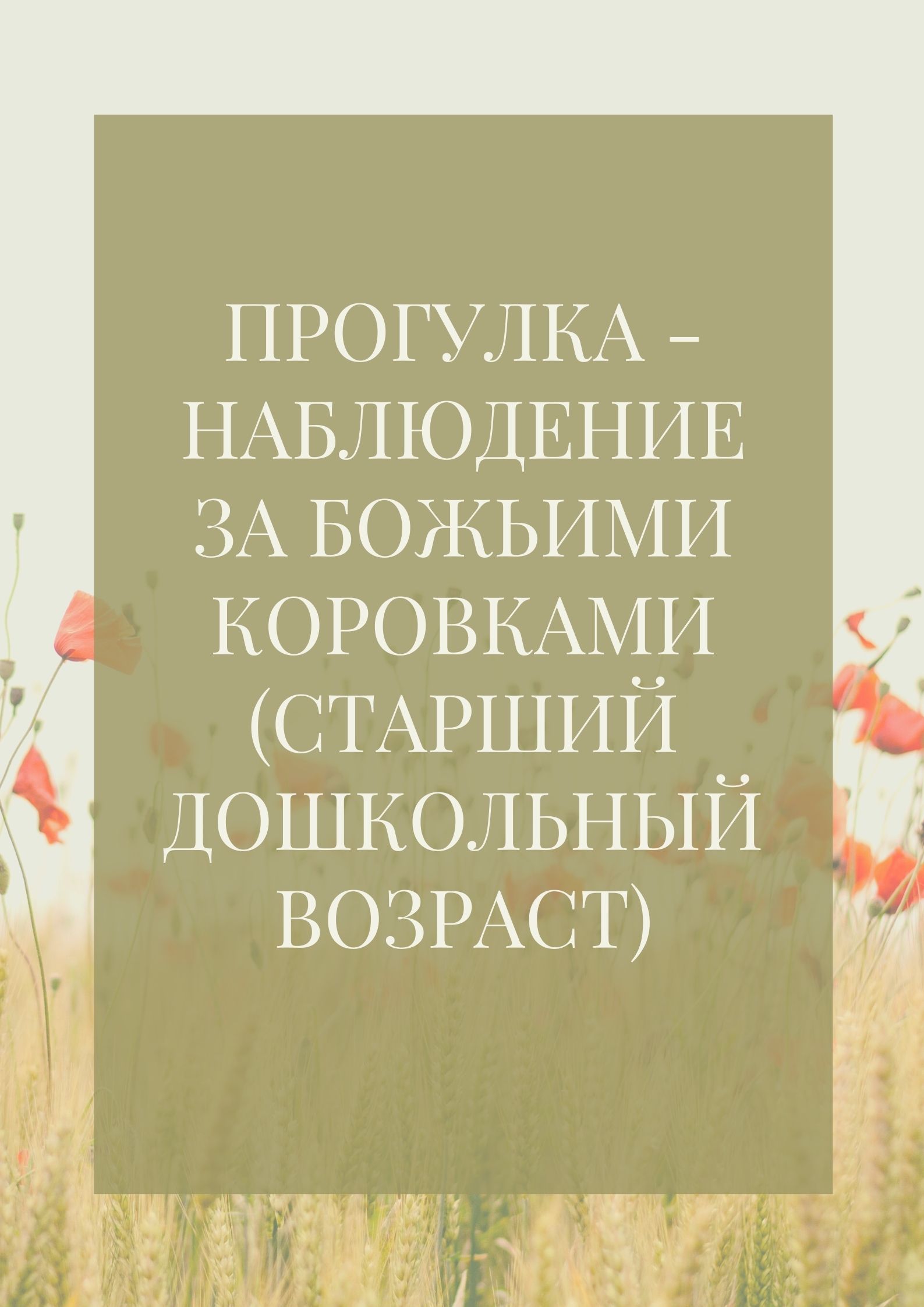 Прогулка - наблюдение за божьими коровками (старший дошкольный возраст)