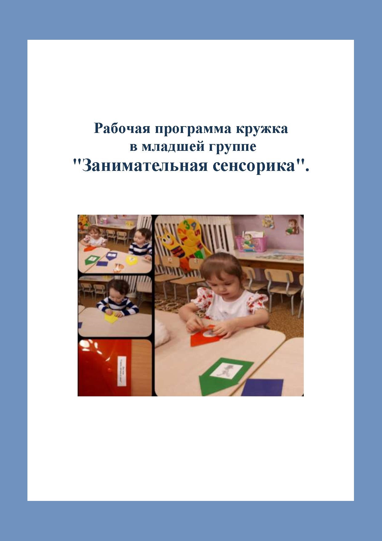 
        
            Рабочая программа кружка  в младшей группе  Занимательная сенсорика | Дефектология Проф
        
    