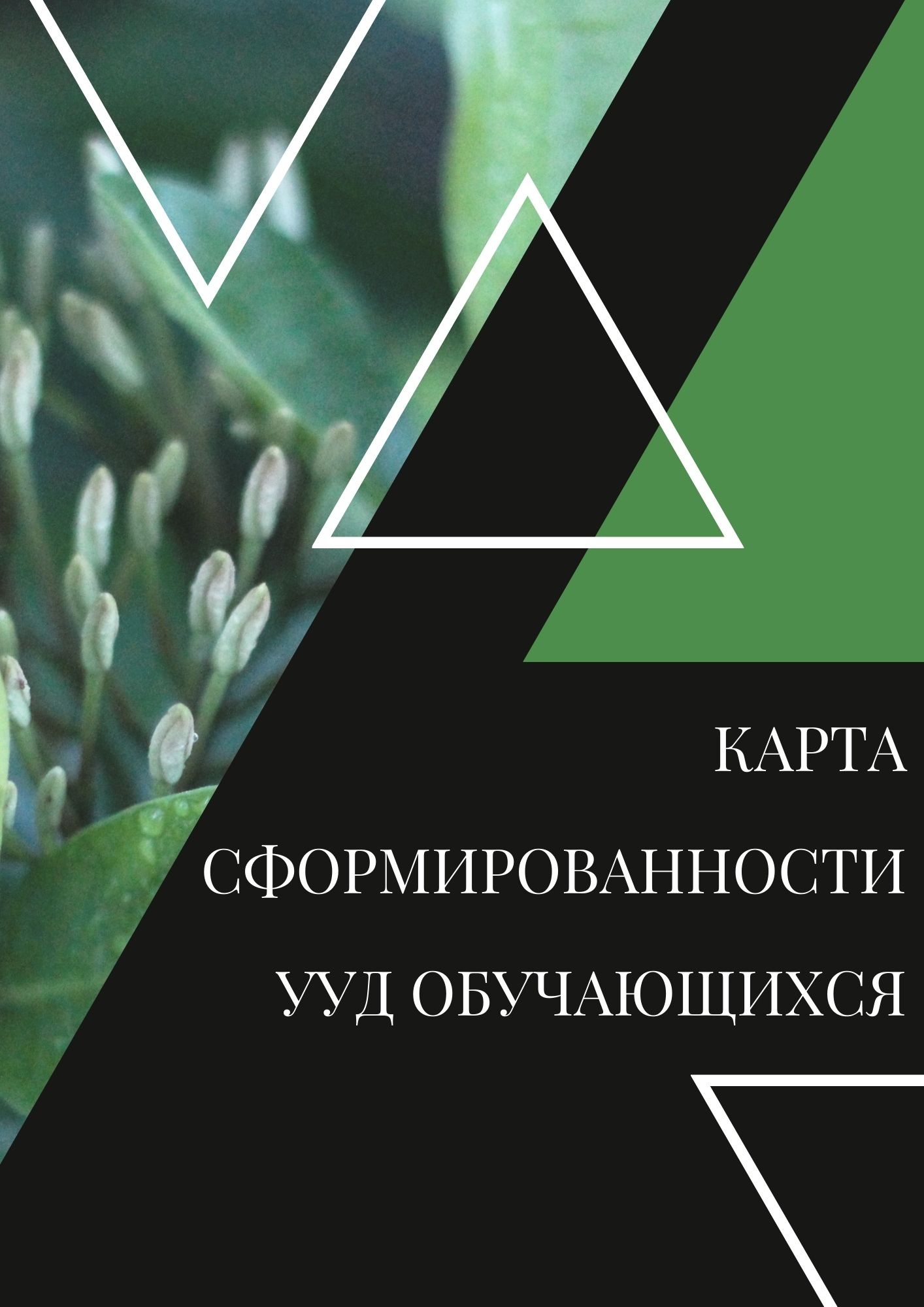 Карта сформированности УУД обучающихся