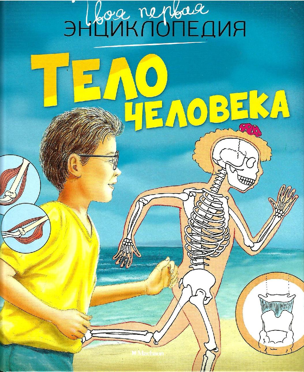 Энциклопедия. Тело человека
