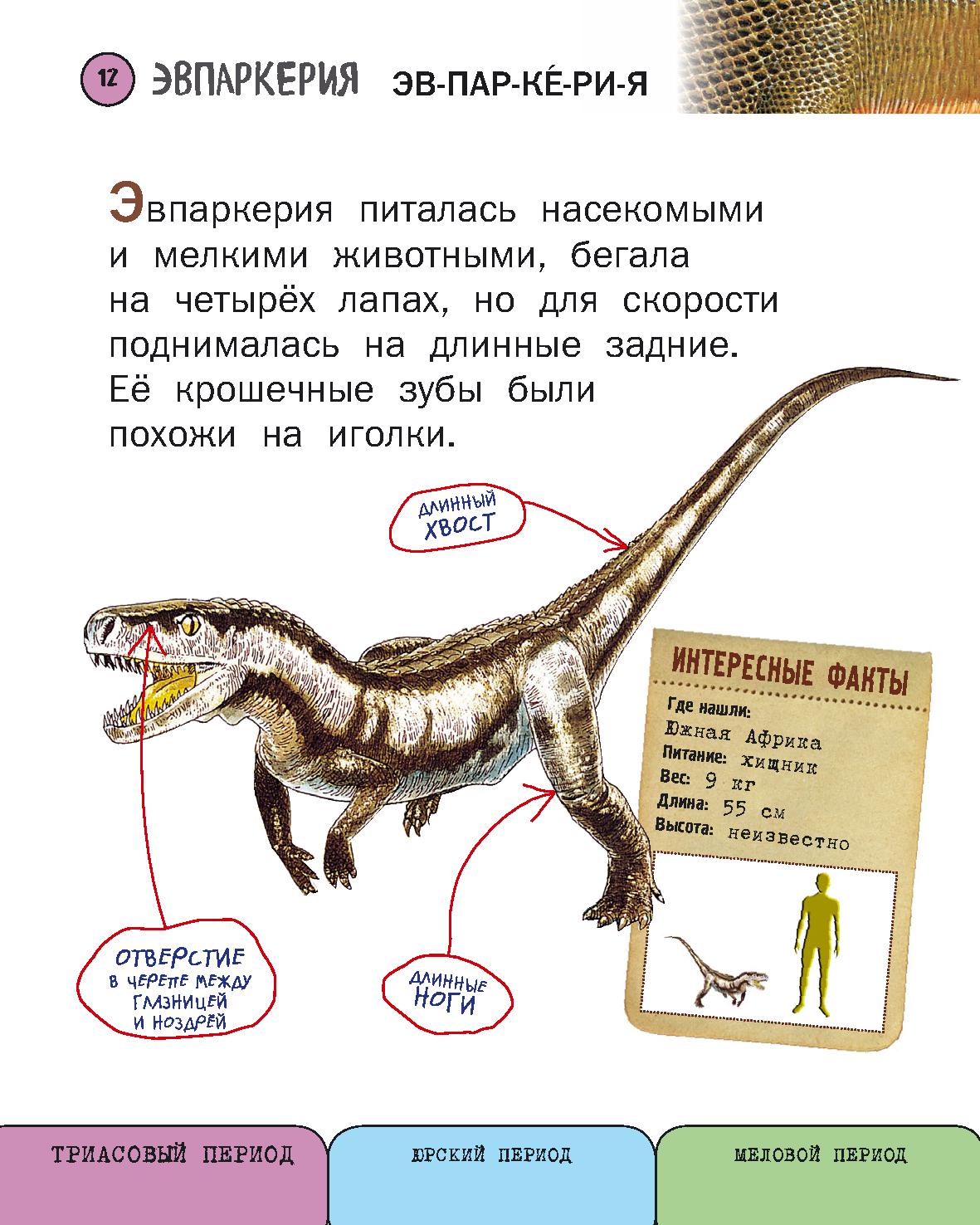 Все динозавры | Дефектология Проф