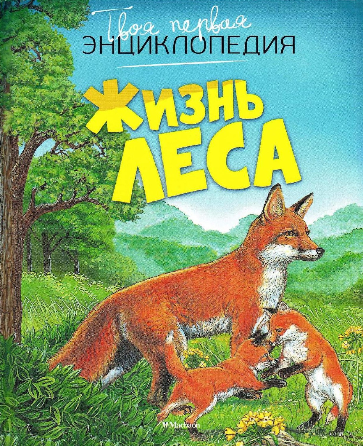 Жизнь леса