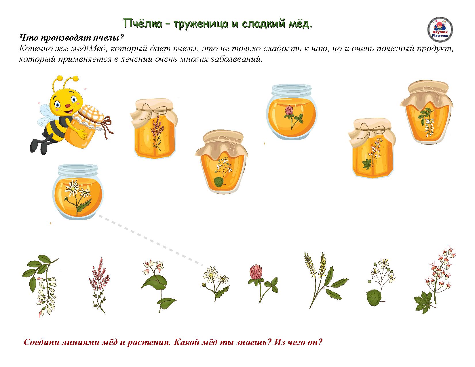 Пчелиный алгоритм презентация