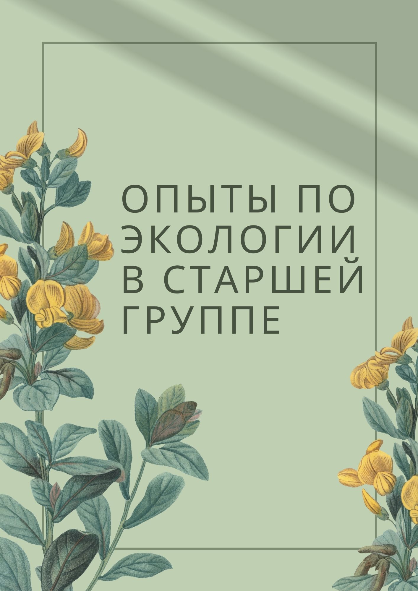 Опыты по экологии в старшей группе