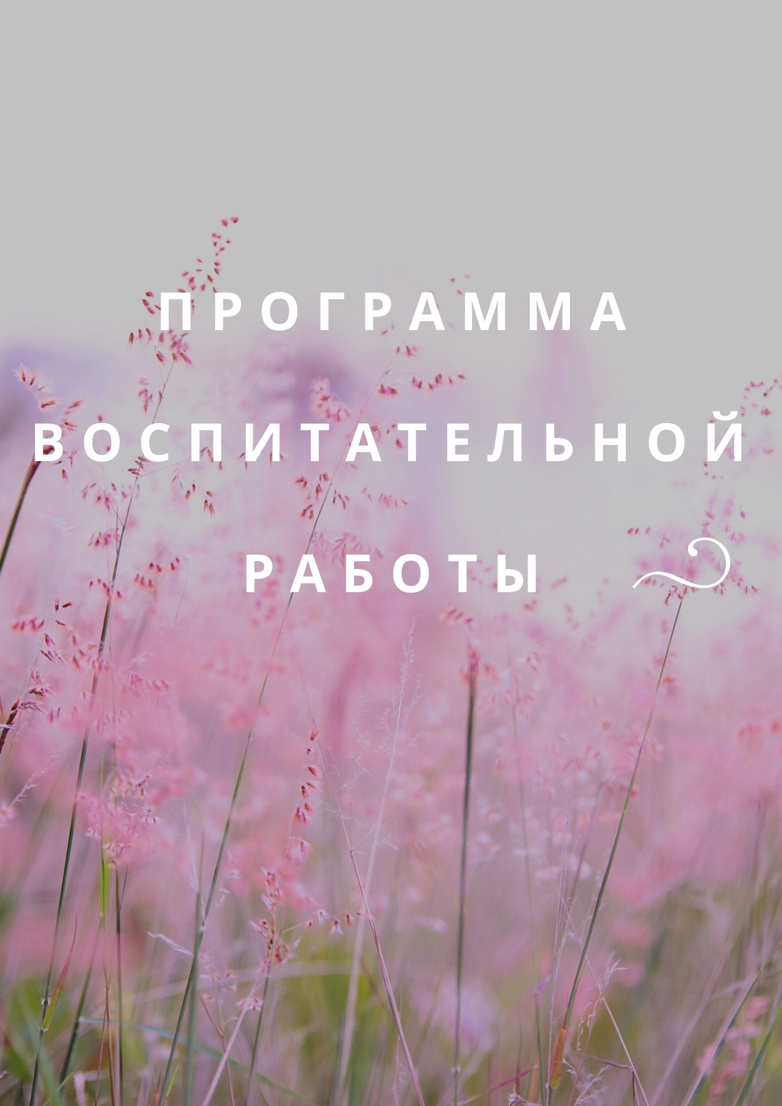 Программа воспитательной  работы