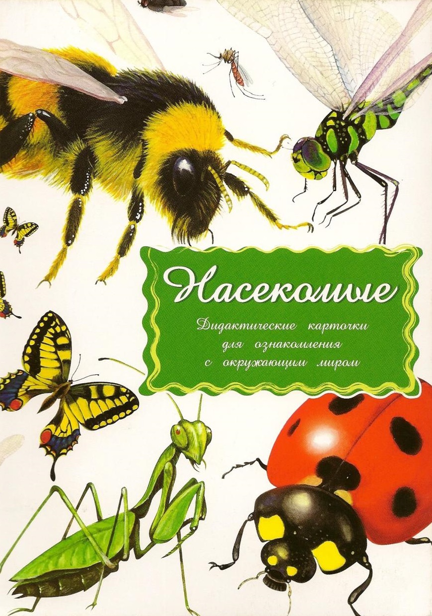 Насекомые. Дидактические карточки
