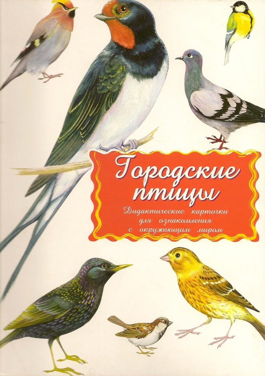 Московские городские птицы фото и названия