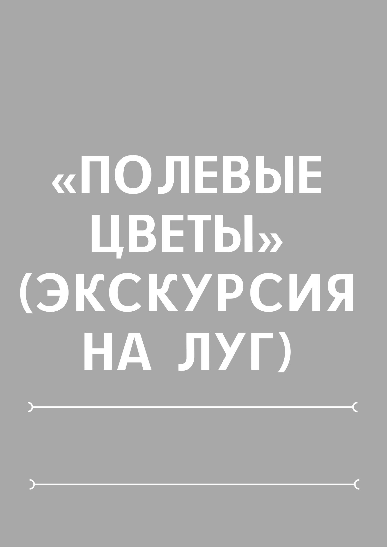 «Полевые цветы» (Экскурсия на луг)
