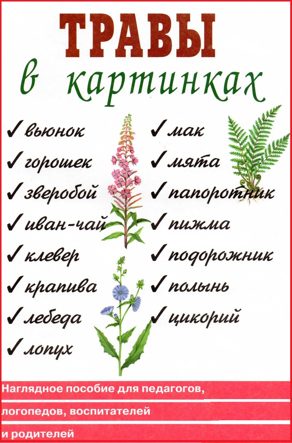 Травы в картинках