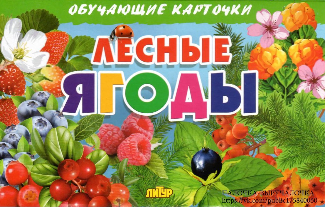 Лесные ягоды