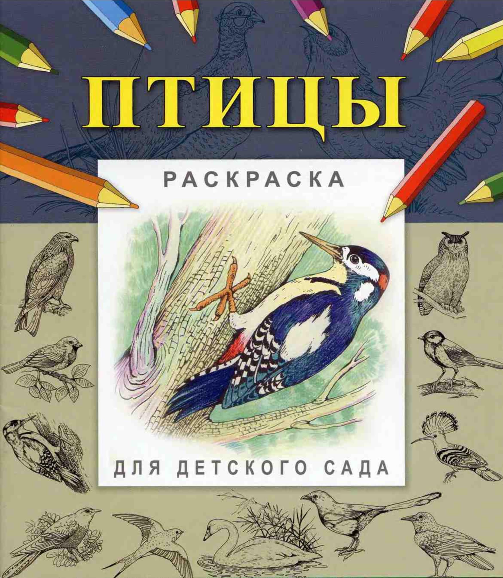 Раскраска для детского сада. Птицы