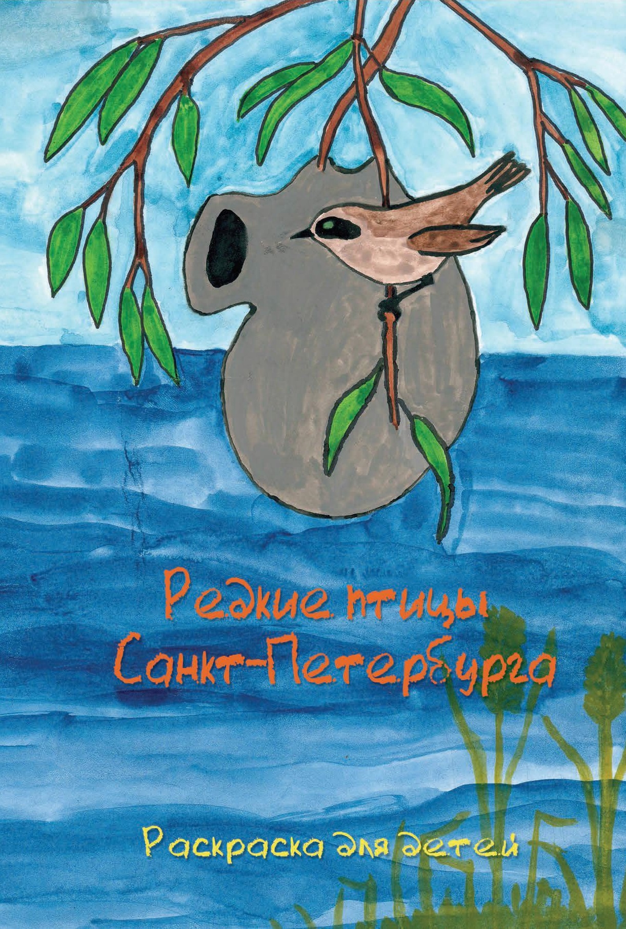 Редкие птицы Санкт-Петербурга. Раскраска