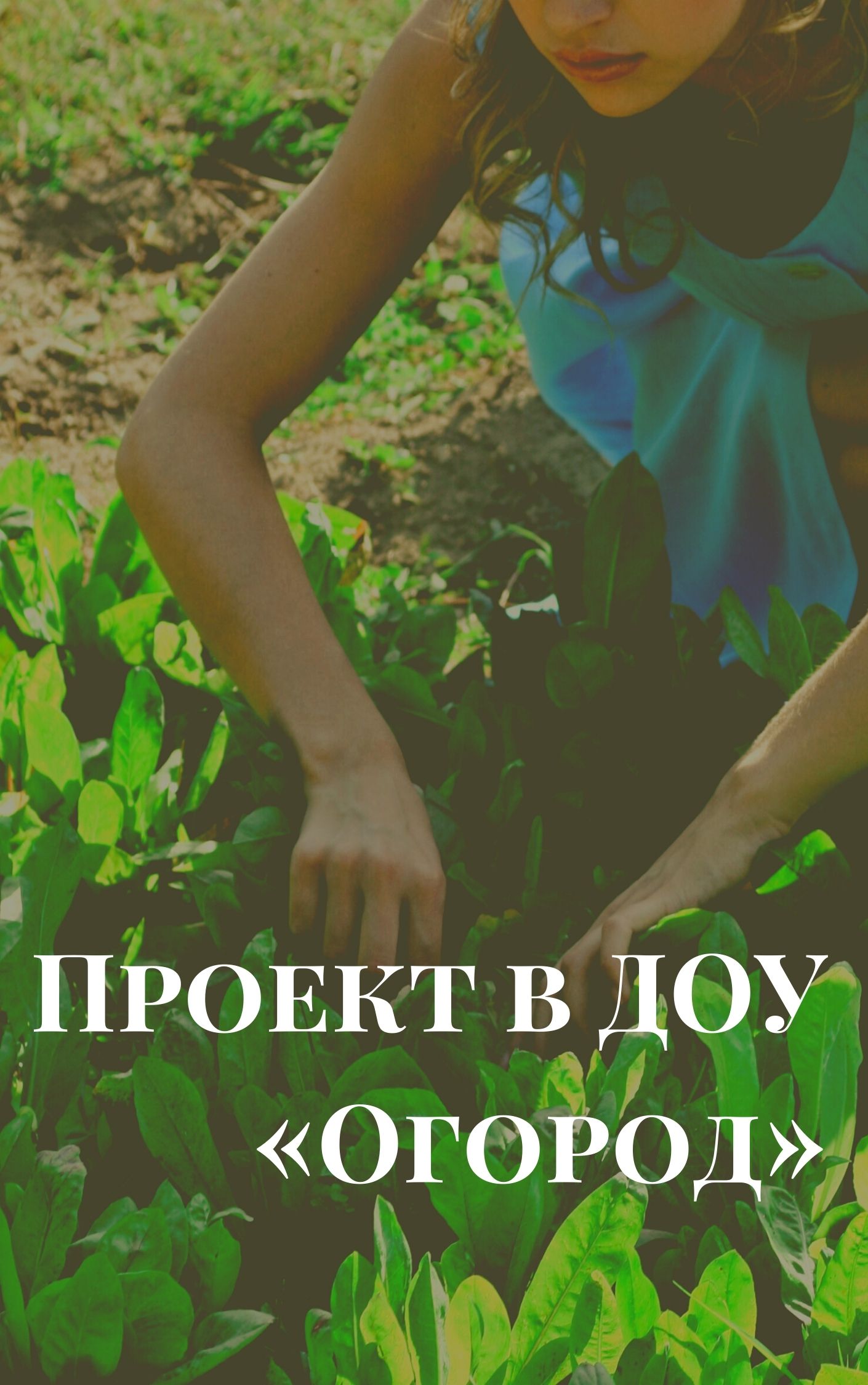 Проект в ДОУ «Огород»