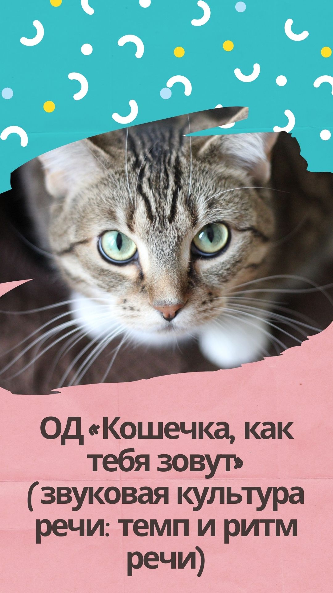 Файлы из библиотеки