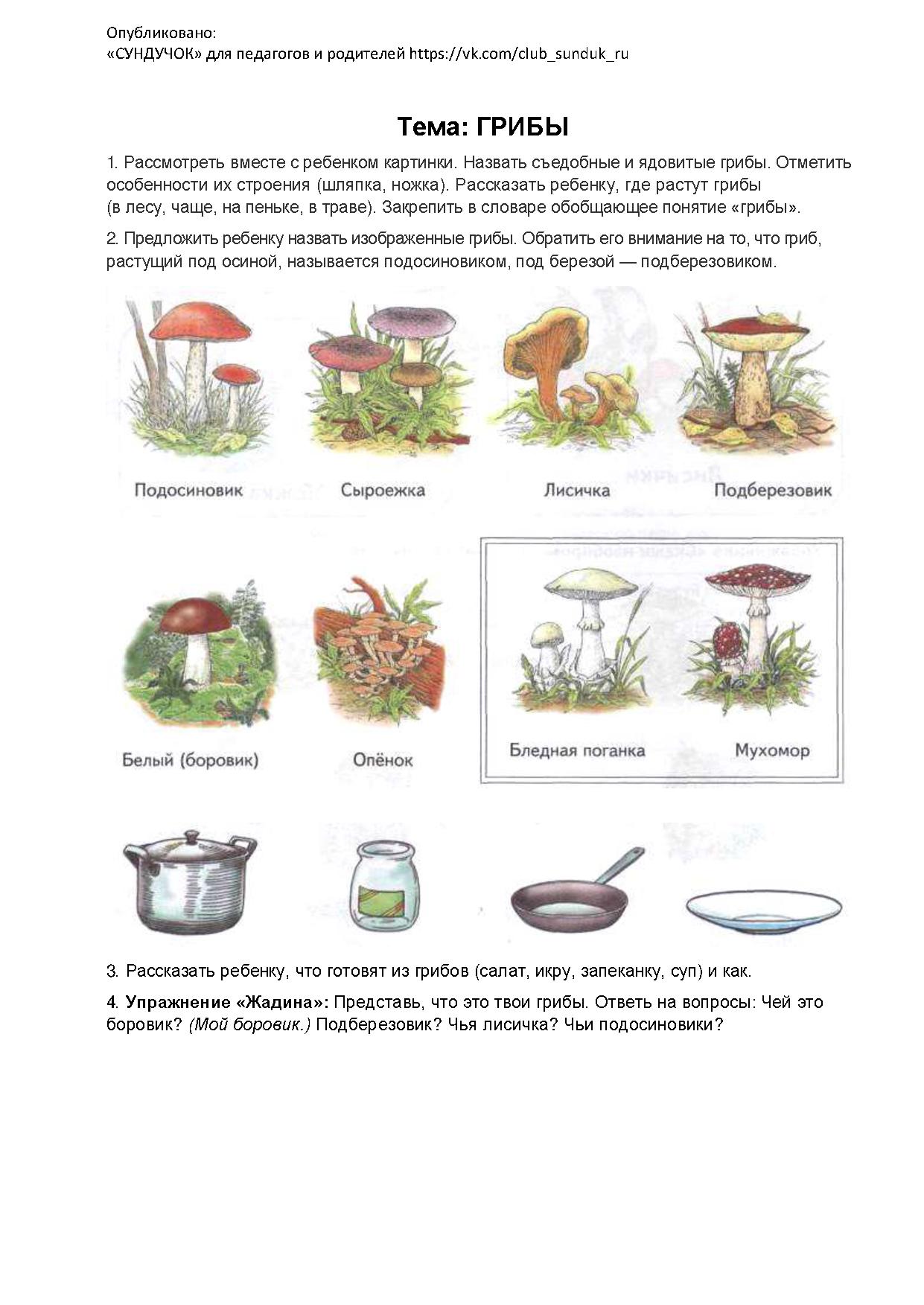 План на неделю в средней группе на тему грибы
