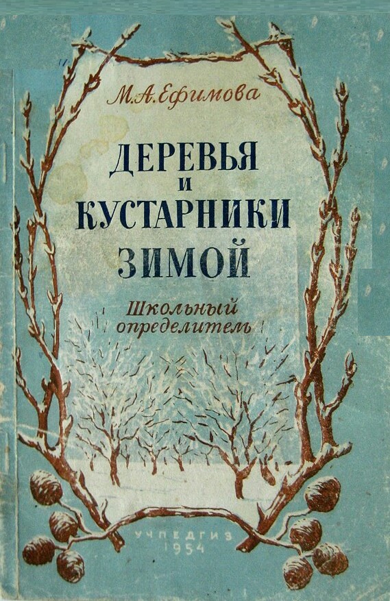 Деревья и кустарники зимой. Школьный определитель