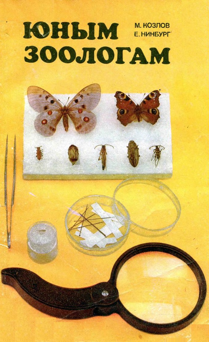 Юным зоологам. Наземные и пресноводные беспозвоночные