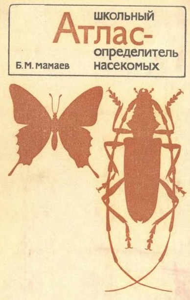 Файлы из библиотеки
