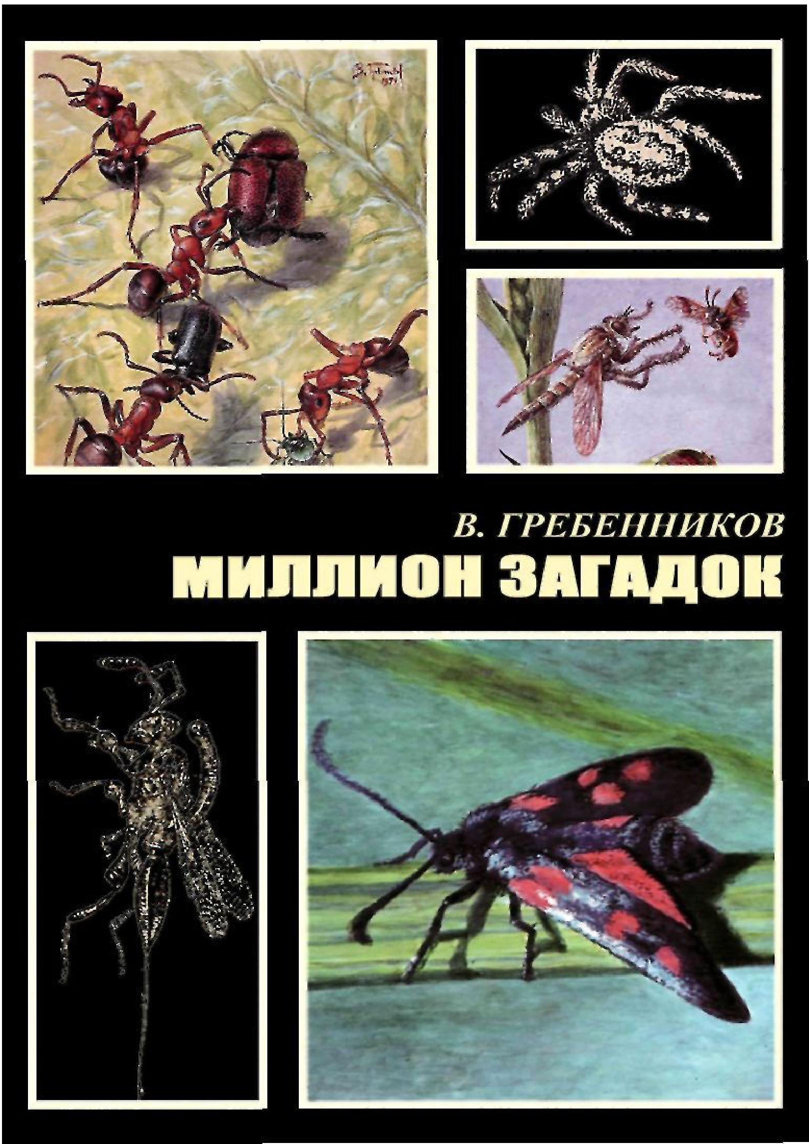 Миллион загадок: Рассказы энтомолога