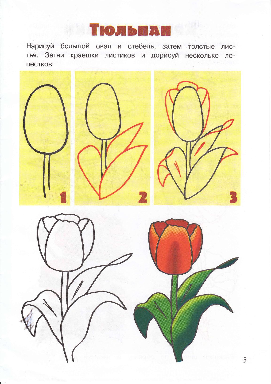 Поэтапные изображения цветов для детей 3-4