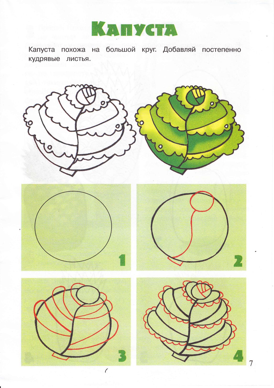 Схема рисования овощей