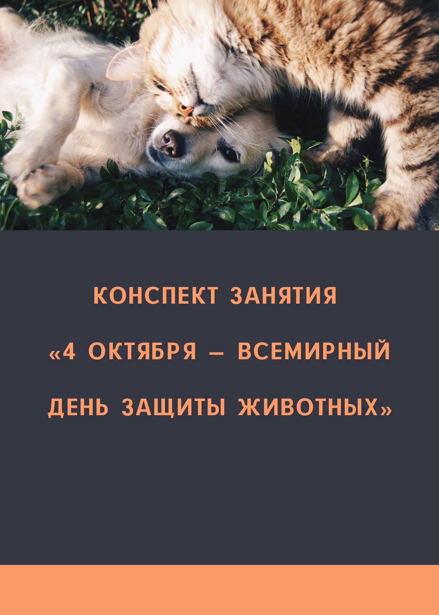 Конспект занятия «4 октября — Всемирный день защиты животных» |  Дефектология Проф