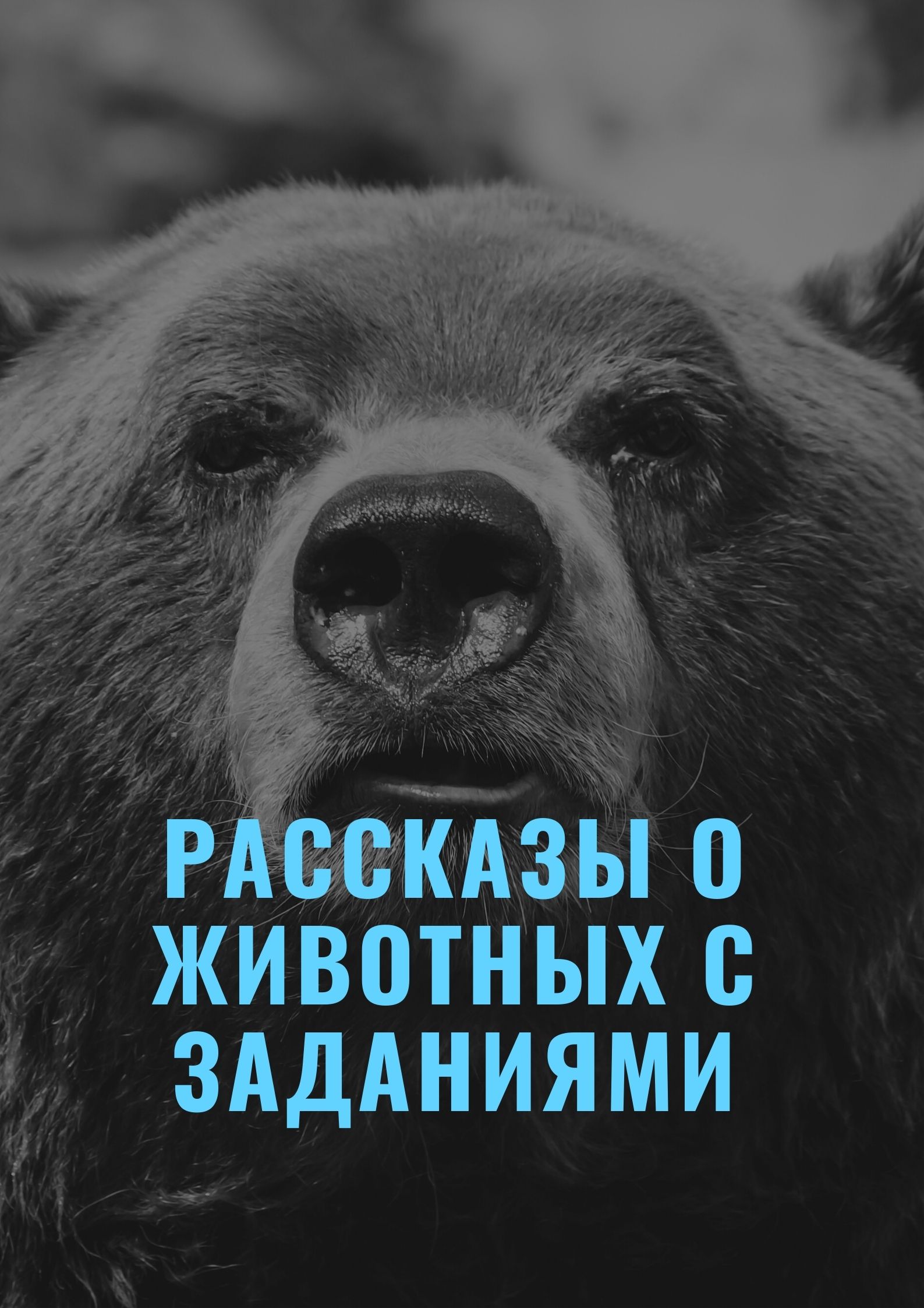 Рассказы о животных с заданиями