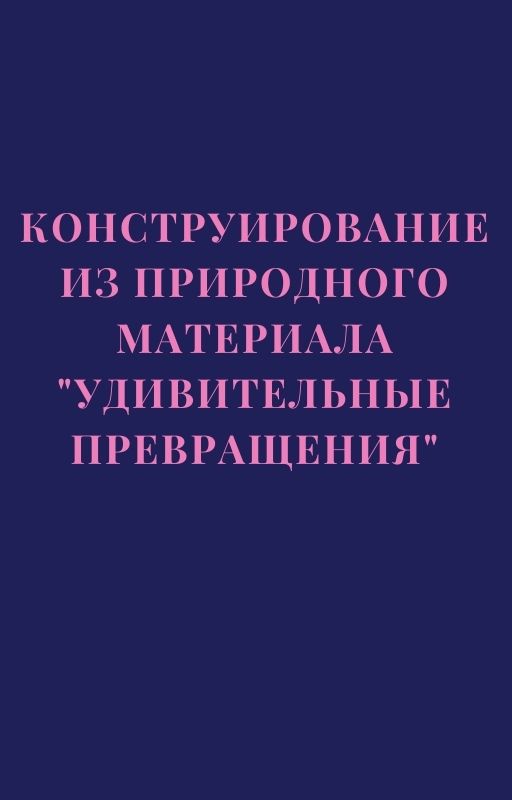 Конструирование из природного материала 