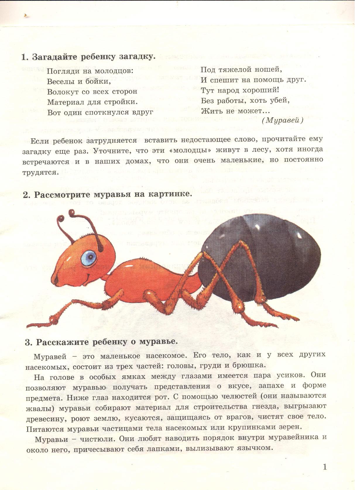 Где муравей? Альбом-игра для развития речи | Дефектология Проф