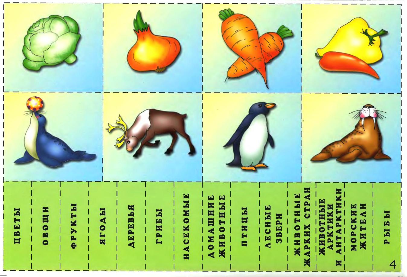Маленькие карточки. Подбери картинку. Игра Подбери картинку. Лото классификация предметов. Классификация картинки для детей.