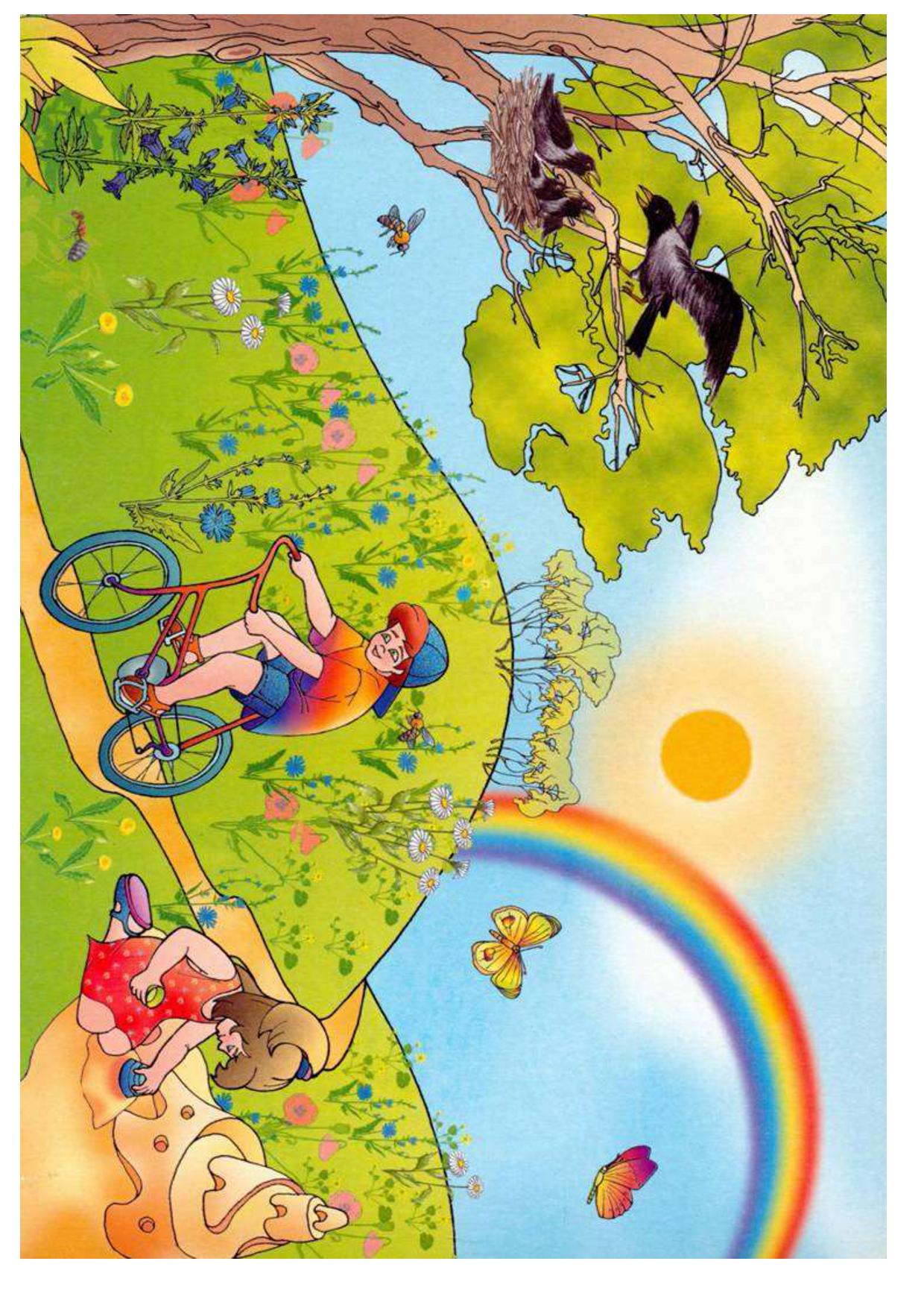 Иллюстрации по временам года лето для детей