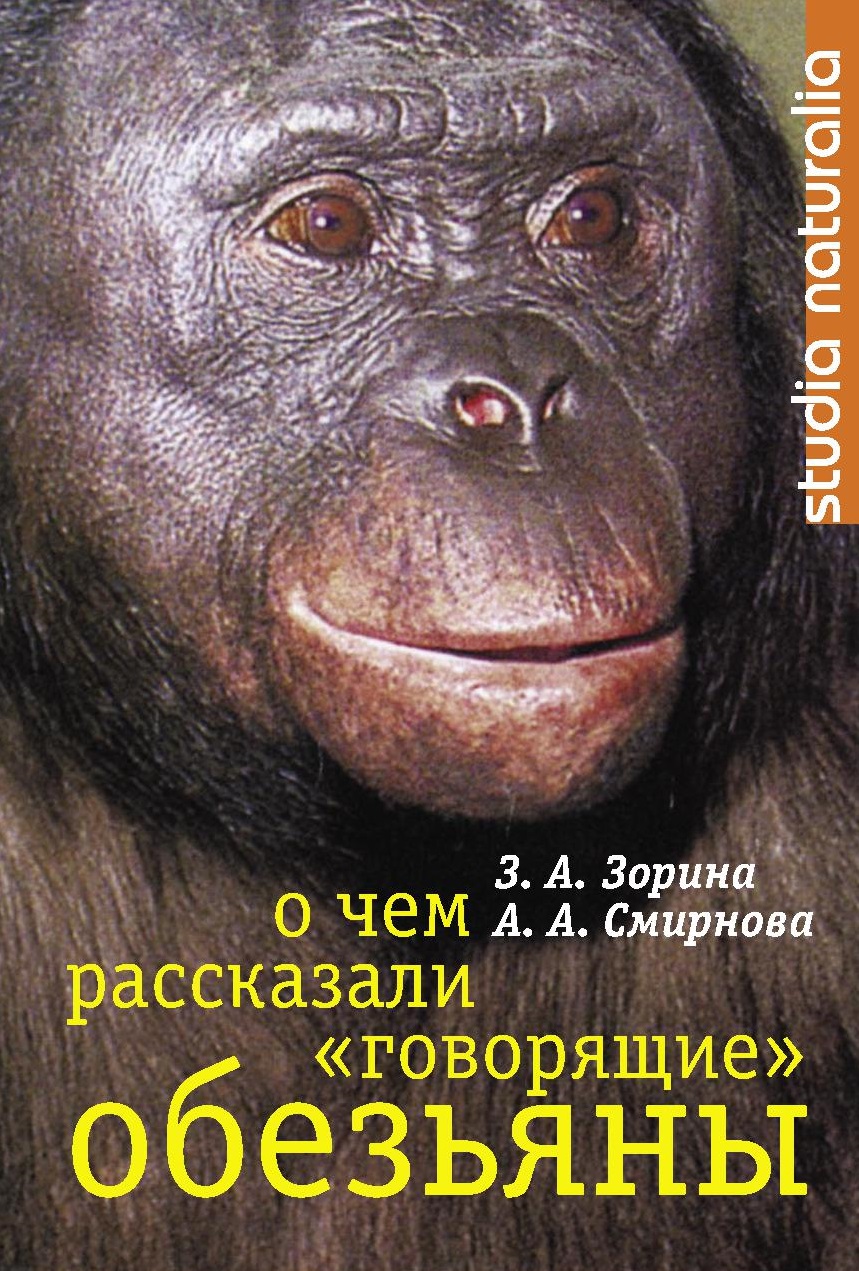 О чем рассказали 