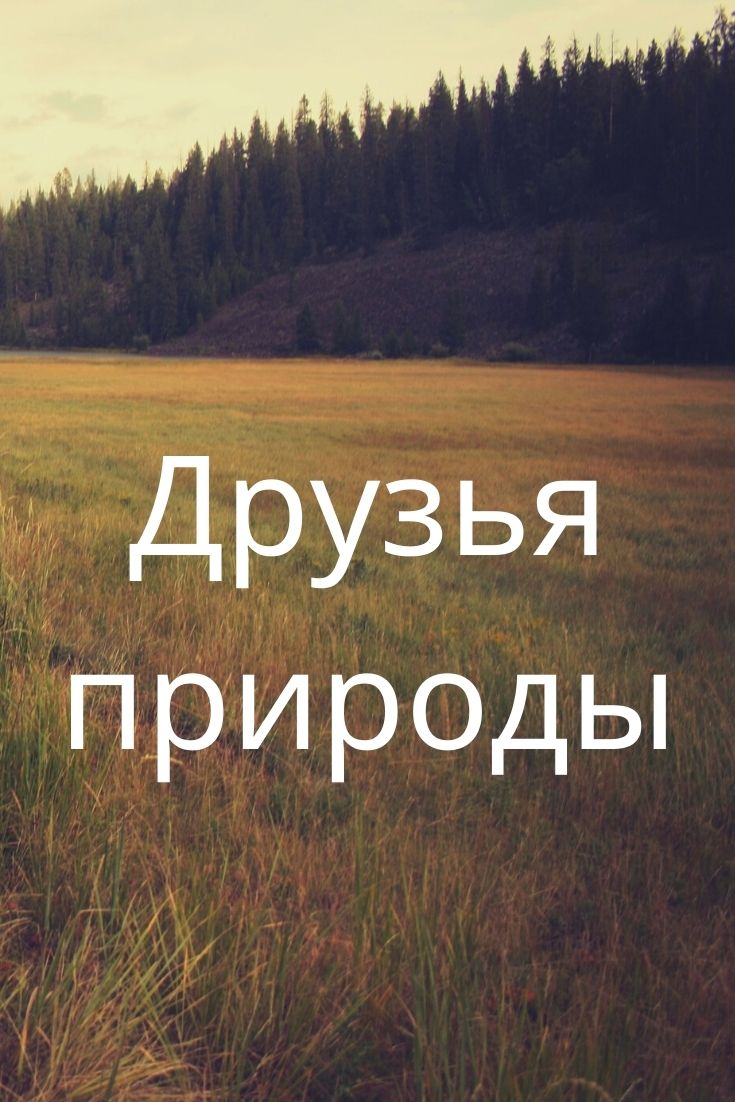 Друзья природы