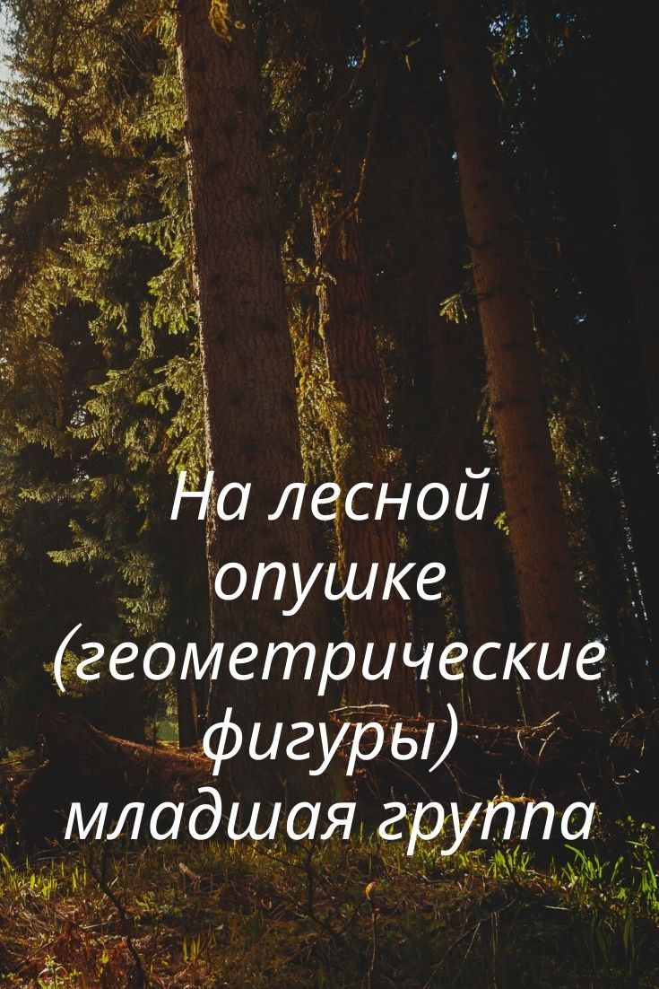 На лесной опушке (геометрические фигуры) младшая группа | Дефектология Проф