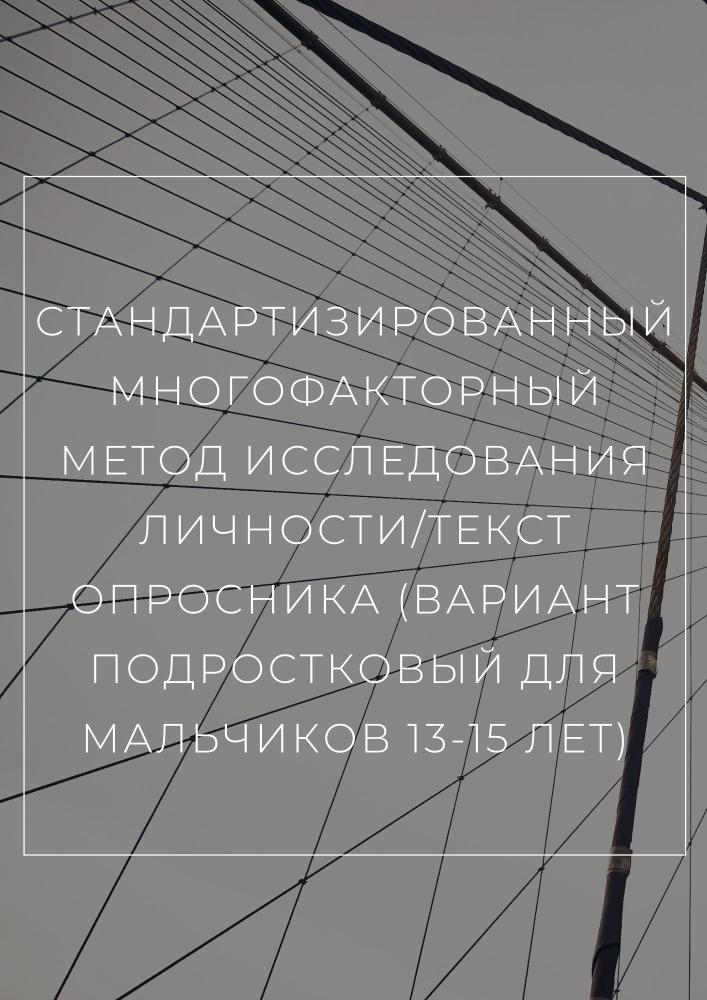 Стандартизированный многофакторный метод исследования личности/Текст  опросника (вариант подростковый для мальчиков 13-15 лет) | Дефектология Проф