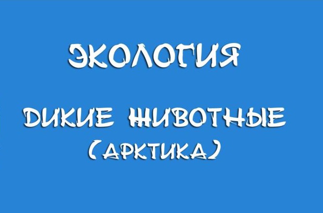 Экология. Дикие животные и птицы. Арктика
