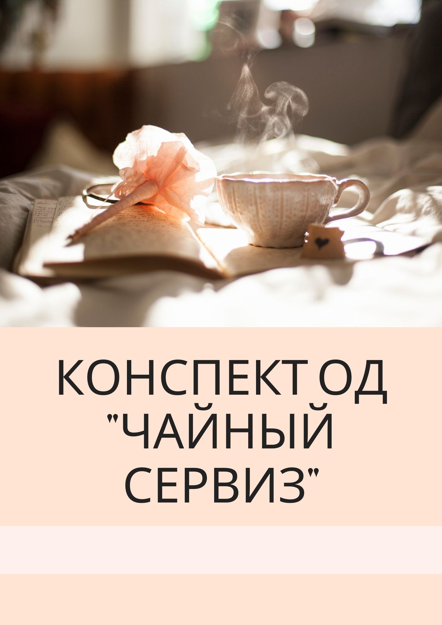 Конспект ОД 