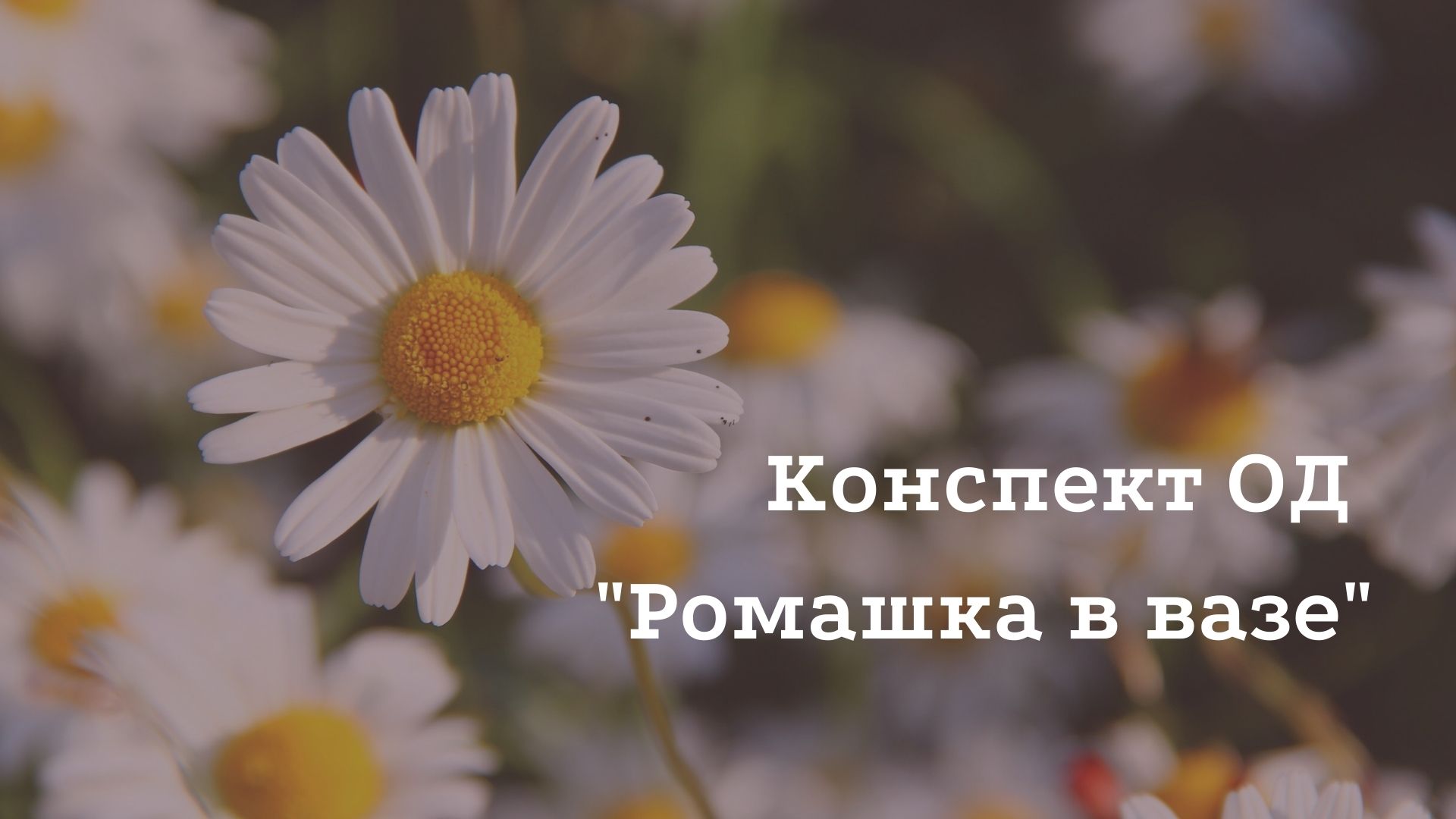 Конспект ОД 